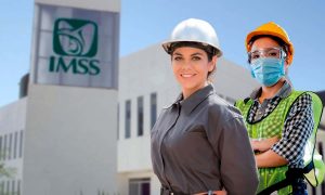 Estadísticas de Empleo IMSS
